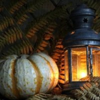 Lantern and a Pumpkin