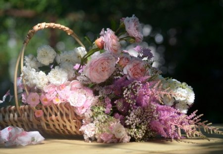 * For bright day * - bright, pink, beautiful, bouquet, scarf, flowers, basket