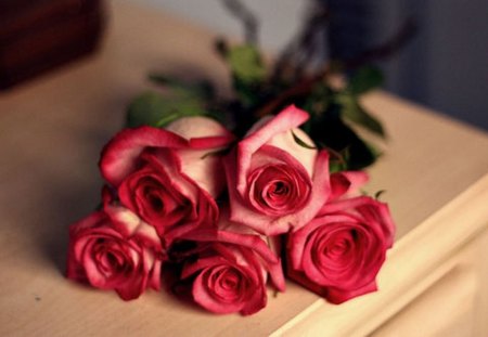 * Cute roses * - roses, petals, bouquet, flowers, cute