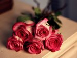 * Cute roses *