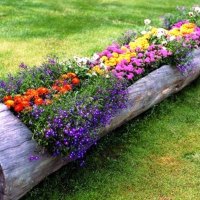 Flower Log Garden