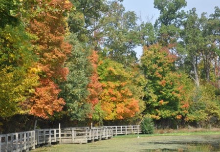 Sharon Woods Fishing Area