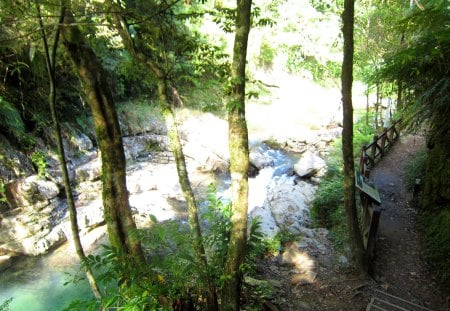 Forest trail - streams, forest, trail, rocks