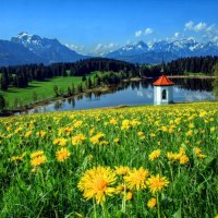 Meadow near lake