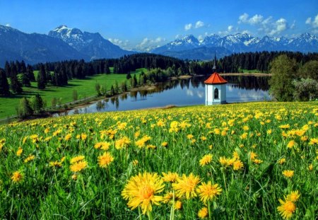 Meadow near lake - nice, cottage, sky, greenery, water, countryside, field, meadow, pretty, yellow, clouds, green, house, grass, pond, fresh, lake, mountain, summer, lovely, nature, beautiful, flowers, cabin