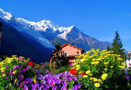 Mountain flowers - pretty, summer, cabin, mountain, flowers, fresh, nice, cottage, sky, clouds, house, trees, beautiful, lovely, peaks, slopes, nature, floral