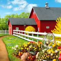 Countryside beauty