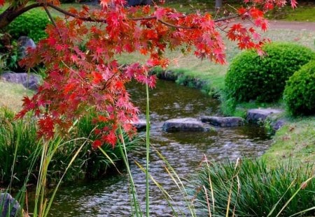 *** Autumn is beginning...*** - natura, drzewa, rzeka, jesien