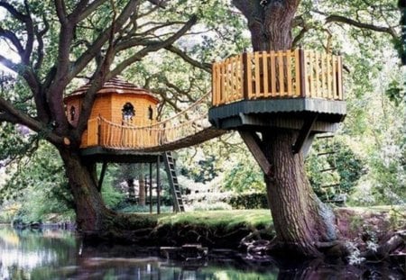 TREE HOUSES - play, trees, kids, houses