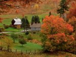 Autumn at the Farm