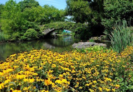 Summer bridge - pretty, yellow, bushes, stream, grass, forest, flowers, riverbank, nice, greenery, trees, water, beautiful, mirrored, lovely, colorful, river, nature, green, bridge