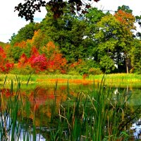 Lake between two seasons