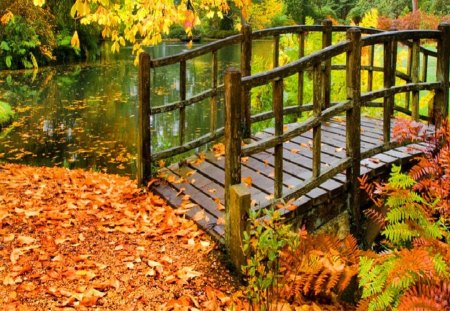 Bridge over the forest pond - nice, lakeshore, autumn, colorful, foliage, reflections, fall, pretty, bridge, pond, lake, falling, park, shore, lovely, nature, beautiful, leaves