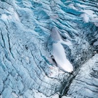 Norwegian Glacier