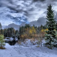 Snowy Winter Forest River Trees