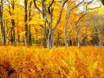 Golden Field of Ferns and Trees