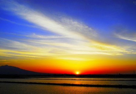 GRACEFUL MORNING - beach, sea, sunrise, waves, dawn