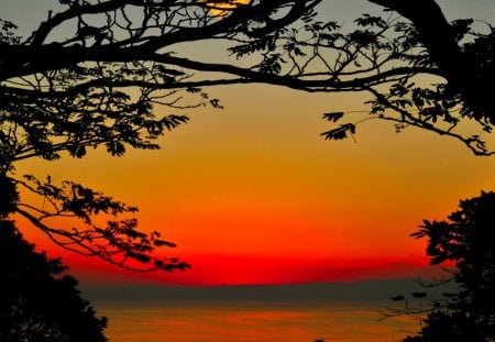 FRAMED DUSK - frame, dusk, branches, trees, sunset, sea