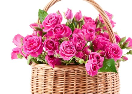 roses in a basket - roses, flowers, basket, pink