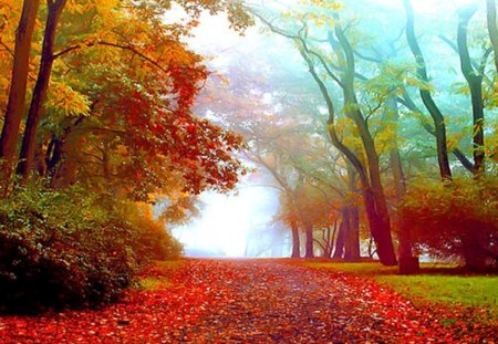 Fall Scenery Autumn In Wallpapers Backgrounds