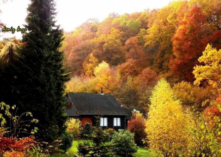 Prettiest Time of the Year - cottage, autumn, trees, colorful, foliage, fall, yellow, red, orange, leaves