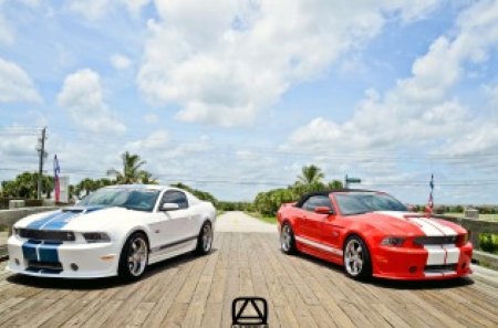 Shelby-GT350 - muscle, gt500, mustang, shelby-gt350