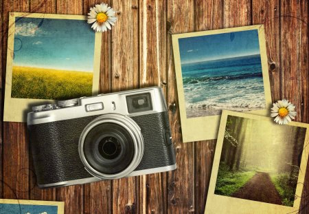 Photography - beauty, photography, daisy, path, wood, camera, pretty, romance, daisies, ocean, wooden, lovely, waves, photos, pathway, woods, romantic, forest, beautiful, flowers, sea