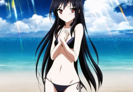 Kuroyukihime - anime, kuroyuki, beach, accel world