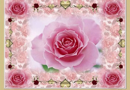 ROSES FOR CHARISMATIC. - hearts, roses, pink, rose background