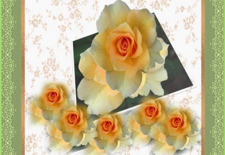 THANK YOU ROSE FOR BEAUTIFUL LIFE. - small surrounding roses, yellow, green edging, rose, out of frame picture