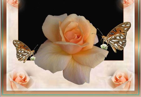 A THANK YOU WP. - faded peach corners, butterflies, rose, peach, gold frame