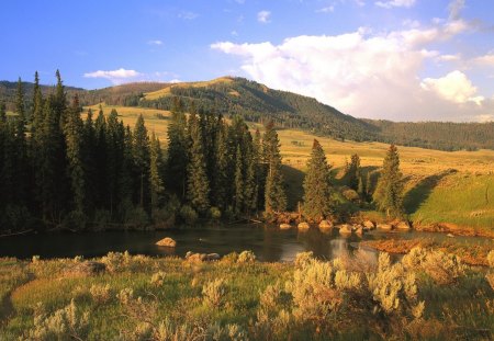 Beautiful Lamar River Valley - valleys, nature, rivers, yellowstone