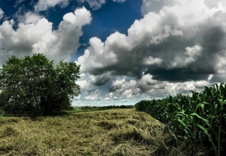 Beginning of Storm - storm, clouds, beginning, field, forces of nature, sky