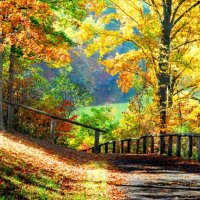 Gorgeous autumn scenery