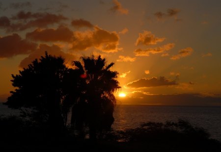 Red Sunset - clouds, sunset, nature, red, sea, sky, palm