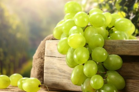 Grapes - grapes, abstract, beautiful, photography, yummy, fruits