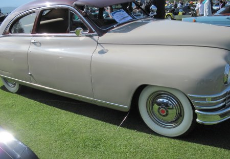 1948 Packard - packard, photography, tires, black, white, headlights, purple, green, grass, beige