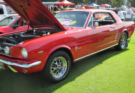 1964 Ford Mustang 289 - headlights, red, black, tires, grass, ford, photography, trees, green