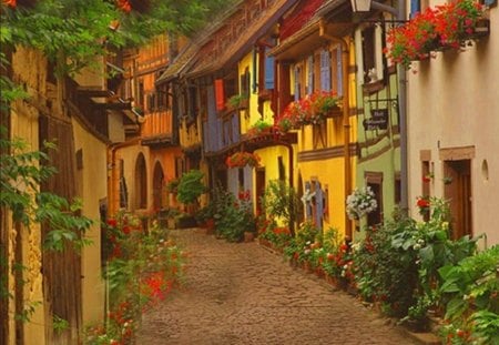 cobblestone street 1 - flowers, street, cobblestone, houses, beautifully