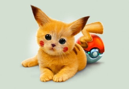 From Pokemon - cat, animal, pet, cute, kitten