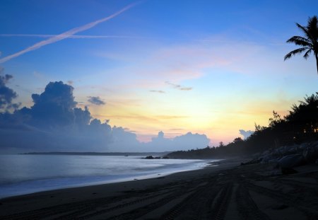 Beautiful Sky - sky, beach, beautiful, blue, clouds, tree