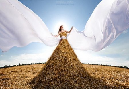 WINGS IN THE FIELD - wings, field, fantasy, woman