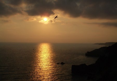 Beautiful View - sky, view, beautiful, sunset, ocean