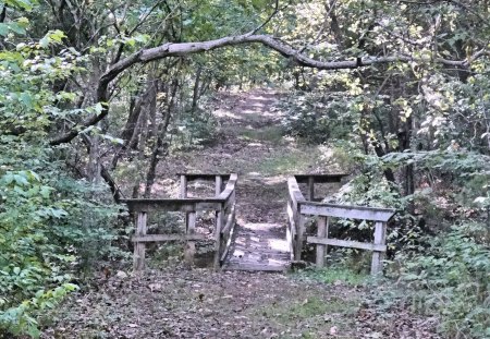 Bridge along walking trail - bridge, pea ridge, civil war, hiking