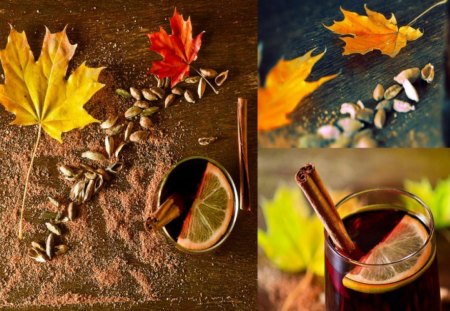 Autumn - seed, cinnamon, autumn, delight, tea, leaf, leaves