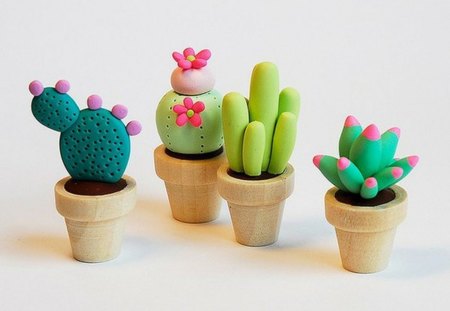 Decorative Cactus - cactus, nice, cute, decorative