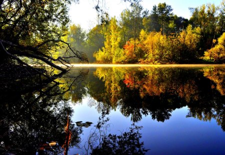 Autumn Reflection - sunny, autumn colors, splendor, landscape, reflection, leaves, view, autumn splendor, lake, sky, clouds, trees, water, beautiful, beauty, colors, lovely, tree, fall, nature, autumn, peaceful