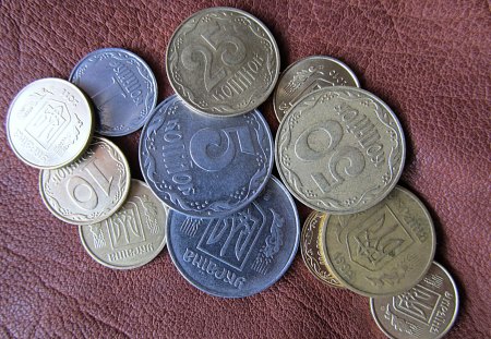 coins - ukraine, lether, money, coins