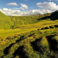 Deep Green Mountains