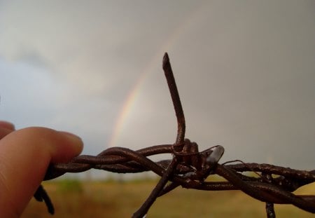 after the rain - rainbow, rain drop, barbed wire, after the rain